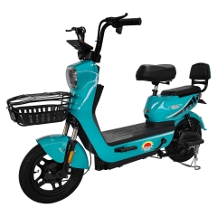 Electric bicycle TY108