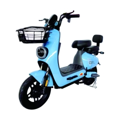 Electric bicycle TY248