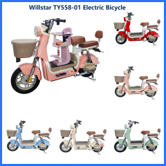 Electric bicycle TY558