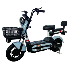 Electric bicycle TY48