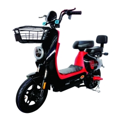 Electric bicycle TY248