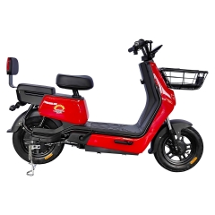 Electric bicycle TY668