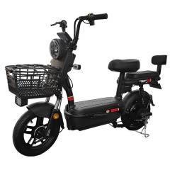 Electric bicycle TY138