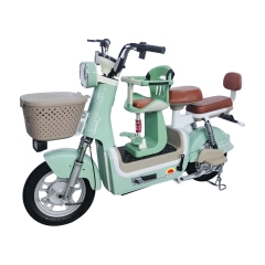 Electric bicycle TY558