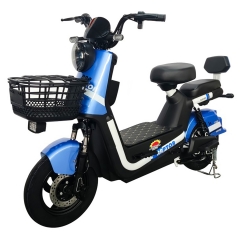 Electric bicycle TY528