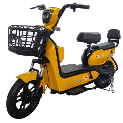 Electric bicycle TY118