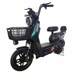 Electric bicycle TY88