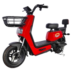 Electric bicycle TY668