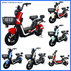 Electric bicycle TY528