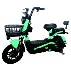 Electric bicycle TY198