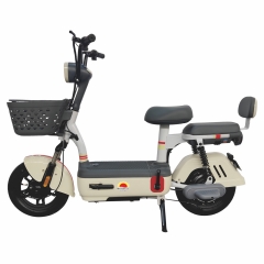 Electric bicycle TY68