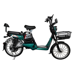 Electric bicycle TY618