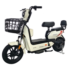 Electric bicycle TY118