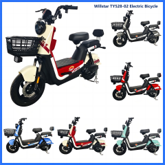 Electric bicycle TY528