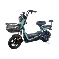 Electric bicycle TY148