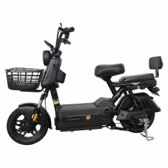 Electric bicycle TY78