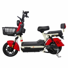 Electric bicycle TY78