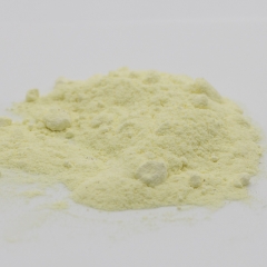 Bismuth Oxide Bi2O3 powder CAS 1304-76-3