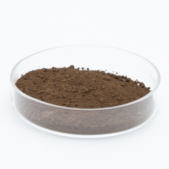 Silicon Nanoparticles Nano Si Powder CAS 7440-21-3