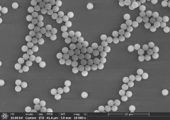 Silicon-based Magnetic Beads