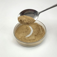 Titanium Monosulfide Powder High Purity 99% CAS No. 12039-07-5 can be customized