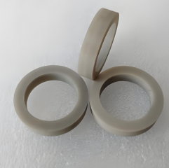 High Thermal Conductivity AlN Ring Aluminum Nitride Ceramic Ring