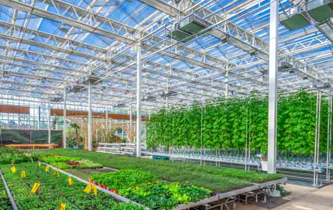 Why are air source heat pumps and fan coil units popular among greenhouse growers?