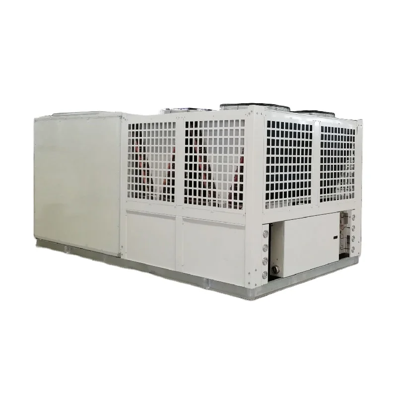 Hot Selling T3 Rooftop AC Unit Energy Saving Variable Frequency Air-Cooled with New Motor PLC Multi-Functional Processing Hotels