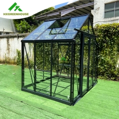 EXTRA STRONG glass greenhouse 14x8FT HX98127