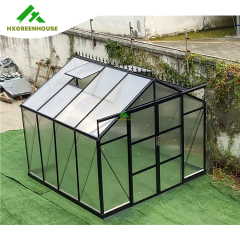 10mm Luxury greenhouse 8x10FT HX67134