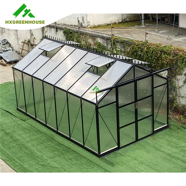 10mm Luxury greenhouse 14x10FT HX67137