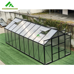 10mm Luxury greenhouse 10x10FT HX67135