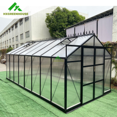 10mm Luxury greenhouse 10x10FT HX67135