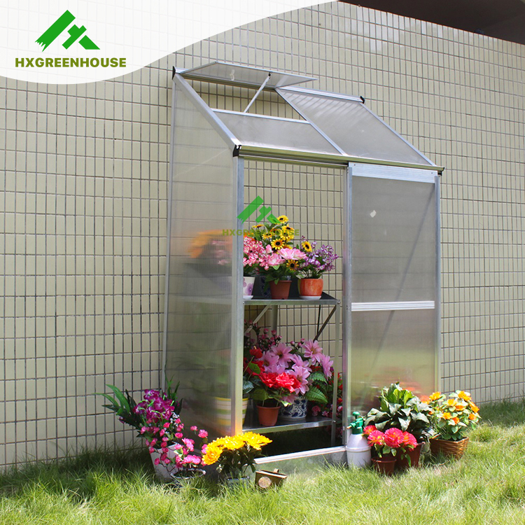 Mini pc lean to greenhouse HX64224