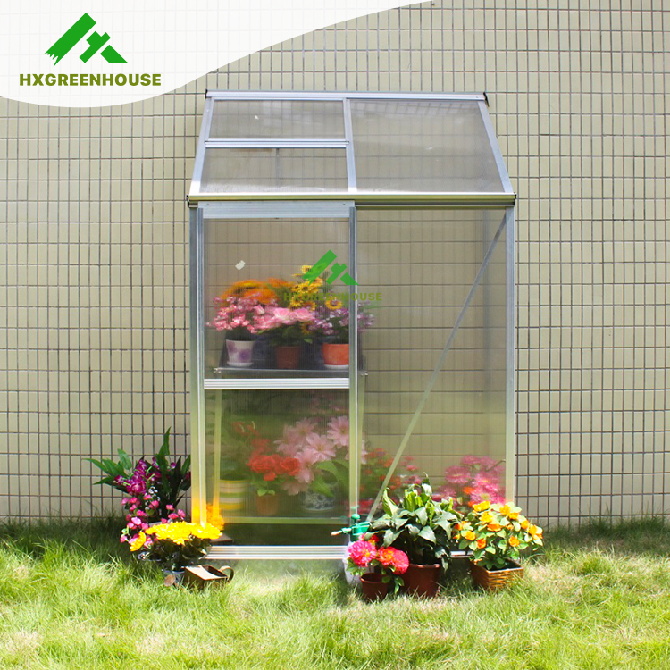 Mini pc lean to greenhouse HX64224