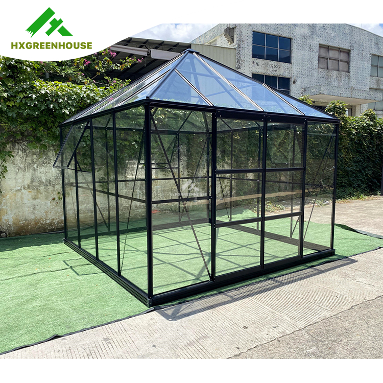 Serre en verre super solide 16X12FT HX98148