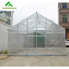 6mm Premium greenhouse HX66130 Serise