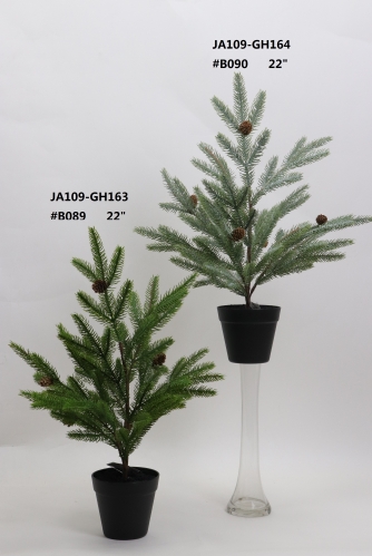 2021XAMS-JA109-18