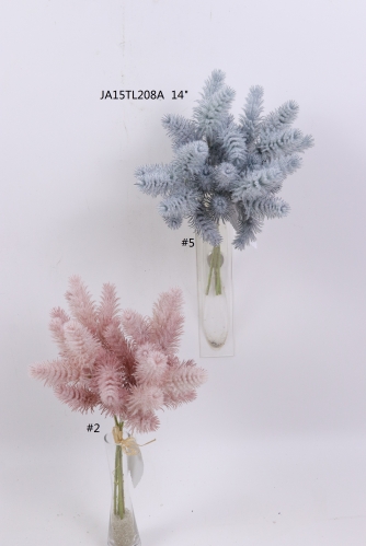 2021XAMS-JA1519