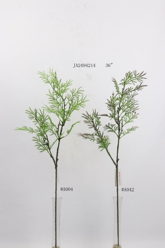 23-SPRING-JA24005