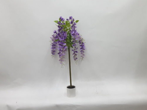 23-SPRING-JA117-024