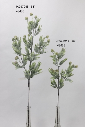 24-SPRING-JA03002