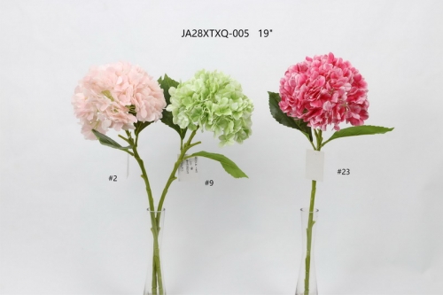 24-SPRING-JA28034