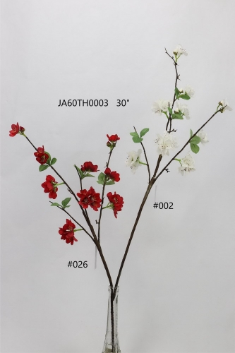24-SPRING-JA60007