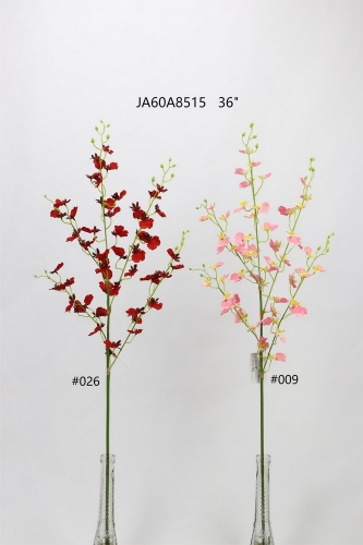 24-SPRING-JA60002