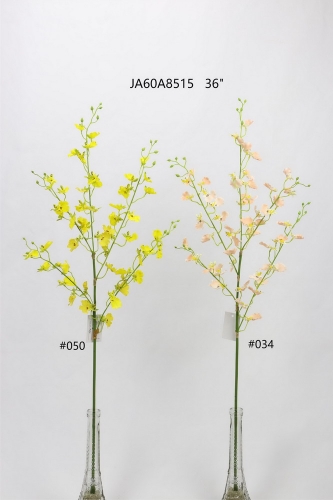 24-SPRING-JA60001