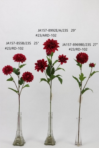 24-SPRING-012