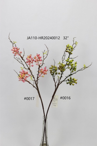 24-SPRING-JA110-017