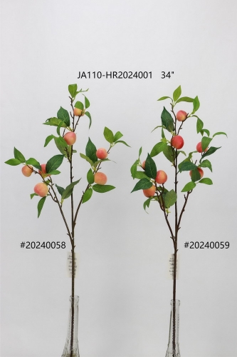 24-SPRING-JA110-033