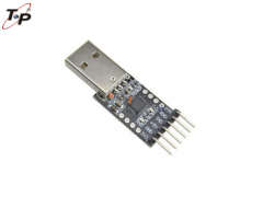 Electronic Module